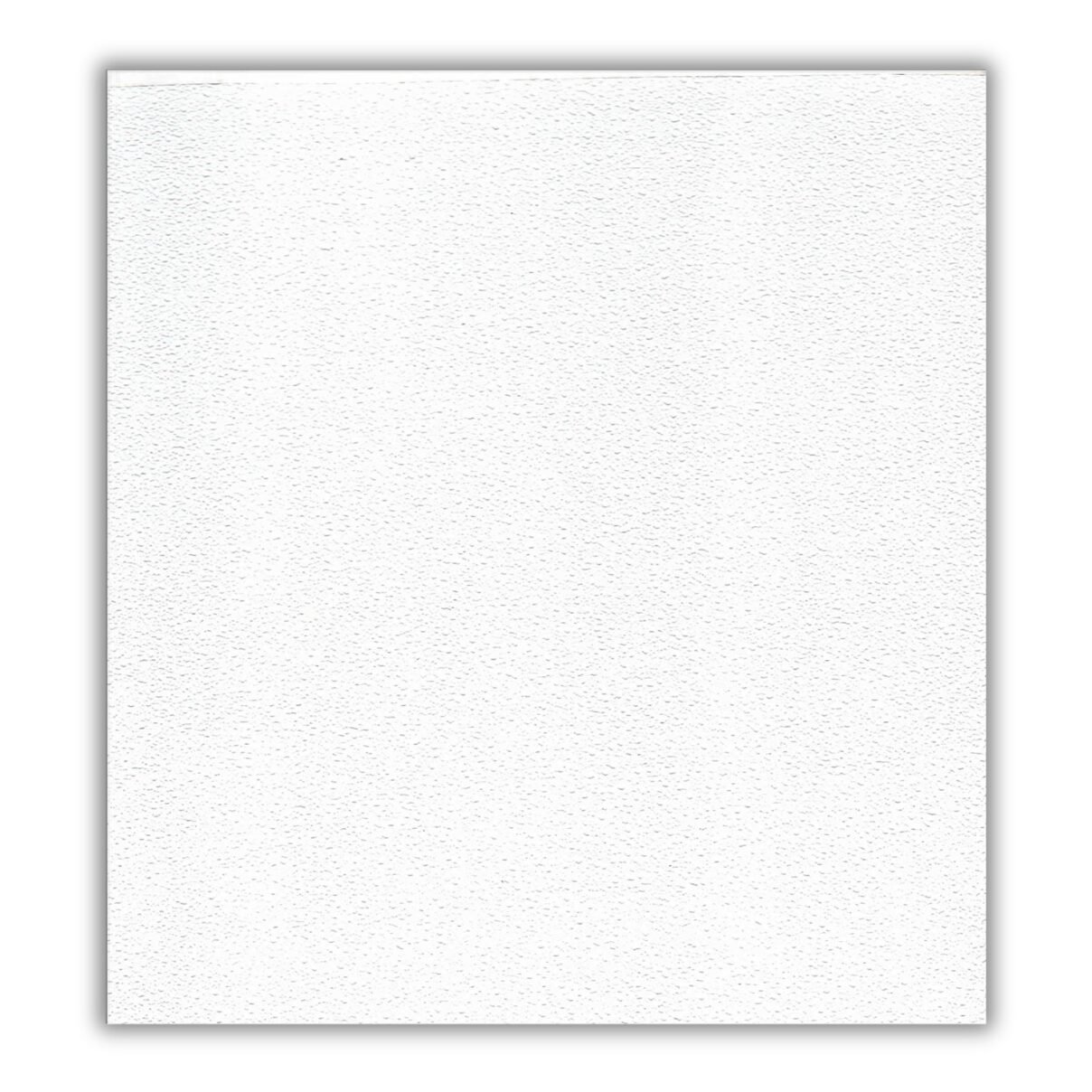 Plafón Sanitario Gyp C 61×122 m Acabado Blanco Lavable