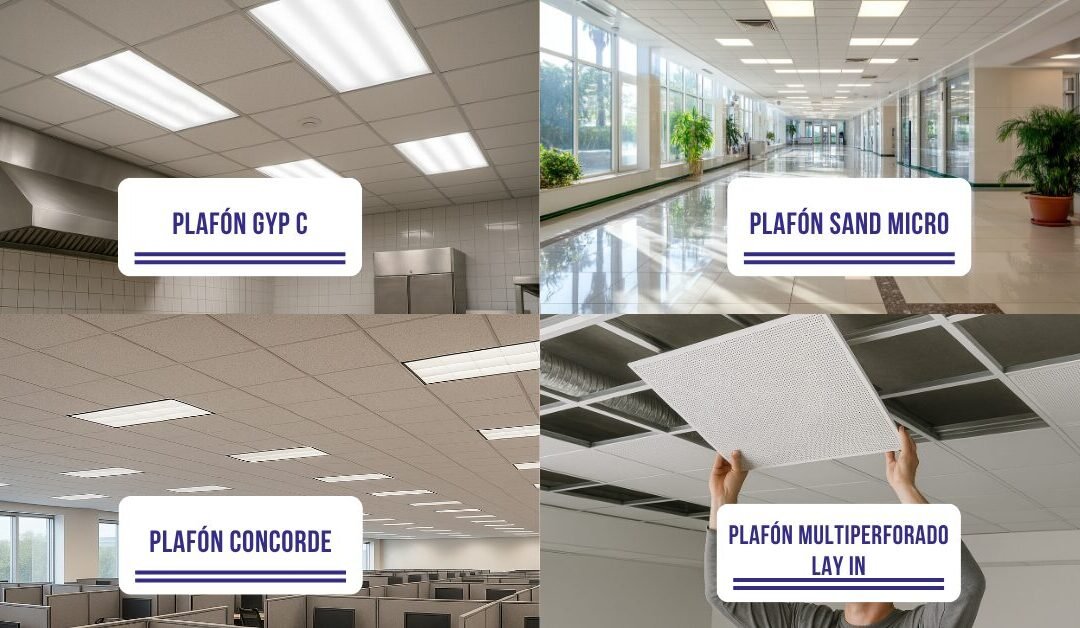 TOP productos usados por contratistas profesionales en 2025